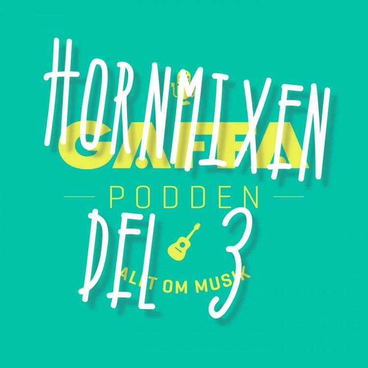 cover art for 48. SPECIAL: Hornmixen, del 3 –  Midsommardisco