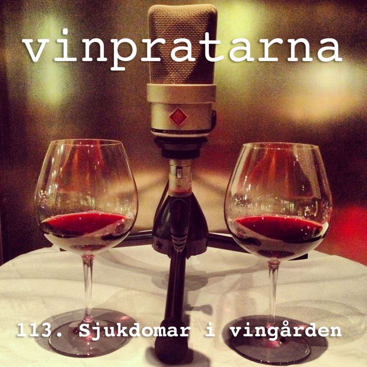 cover art for 113. Sjukdomar i vingården