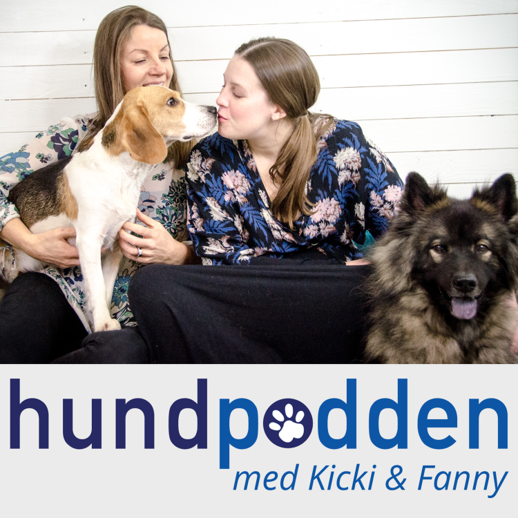 cover art for Mindfulness för hundälskare - med Åsa Chaikiat Ståhl