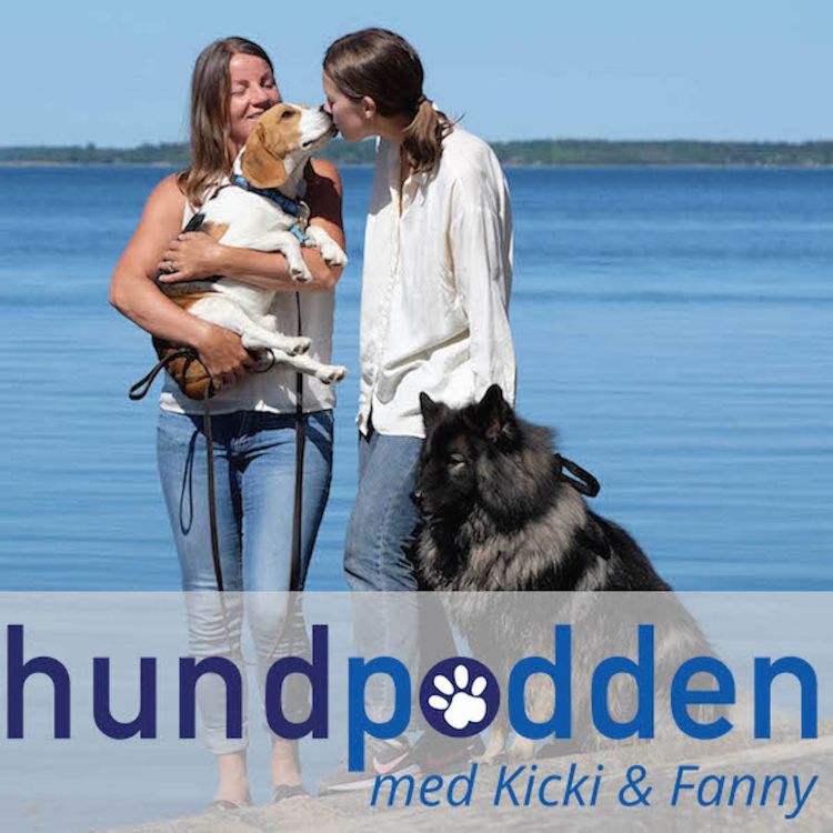 cover art for Miniavsnitt: Fem nycklar till ett harmoniskt hundliv! - 5:e nyckeln