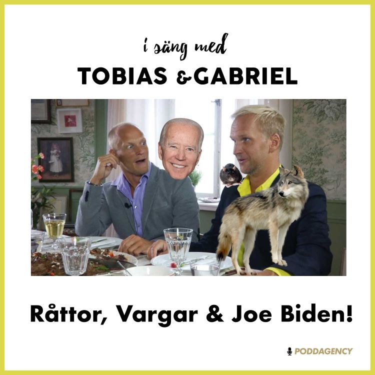 cover art for 243. Råttor, Vargar & Joe Biden!