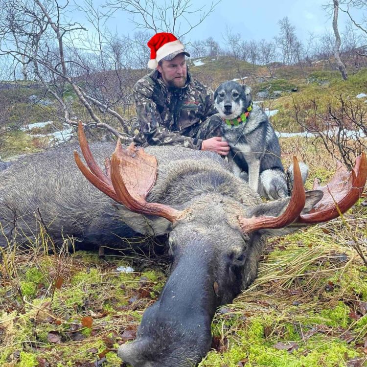 cover art for Sesongavslutning, lytterspørsmål, dilemmaer og god jul!  