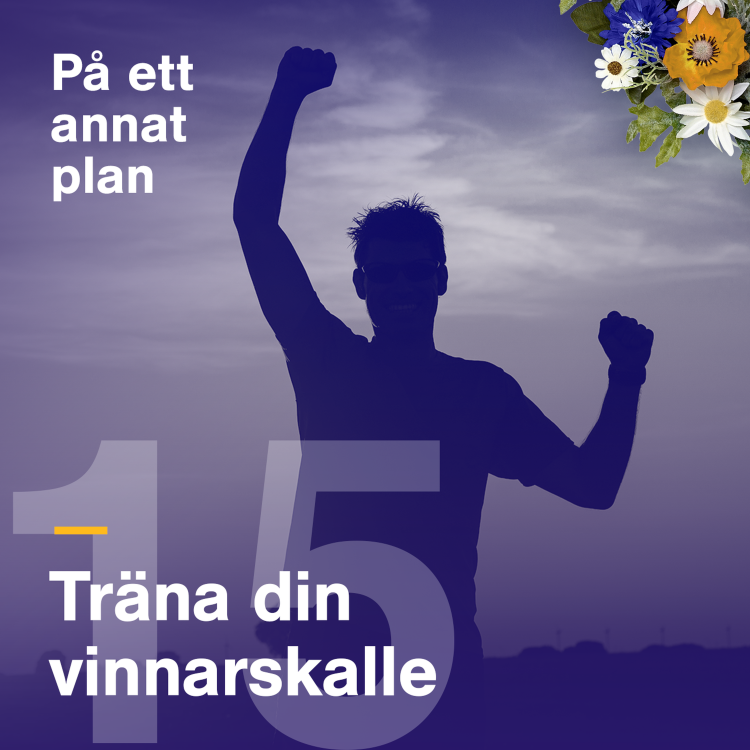 cover art for Träna din vinnarskalle