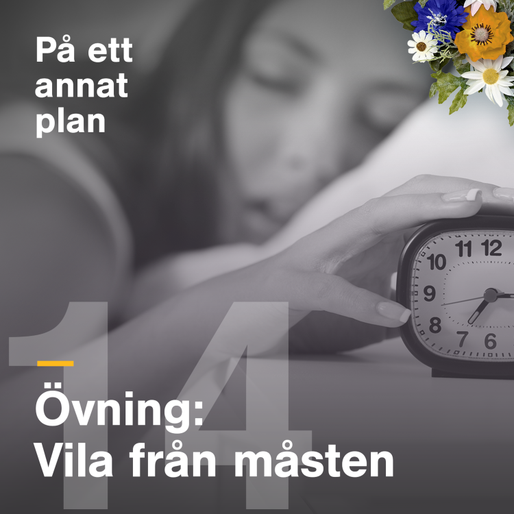 cover art for Övning: Vila från måsten