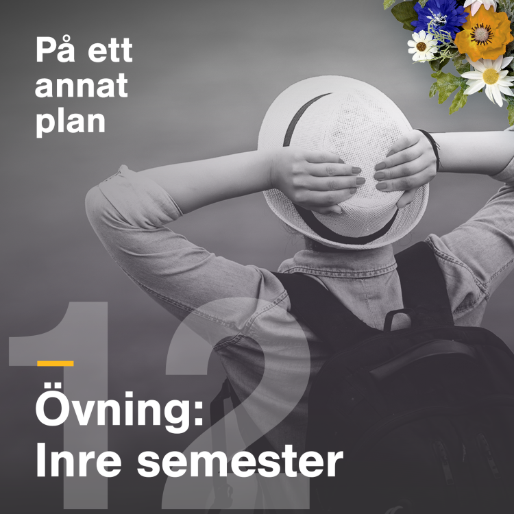 cover art for Övning: Inre semester