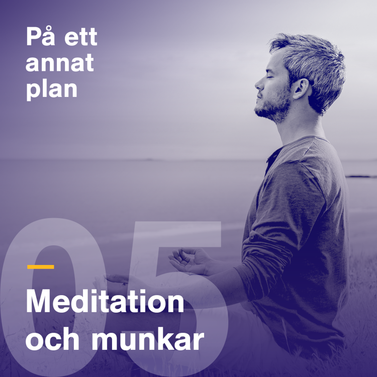 cover art for Meditation och munkar