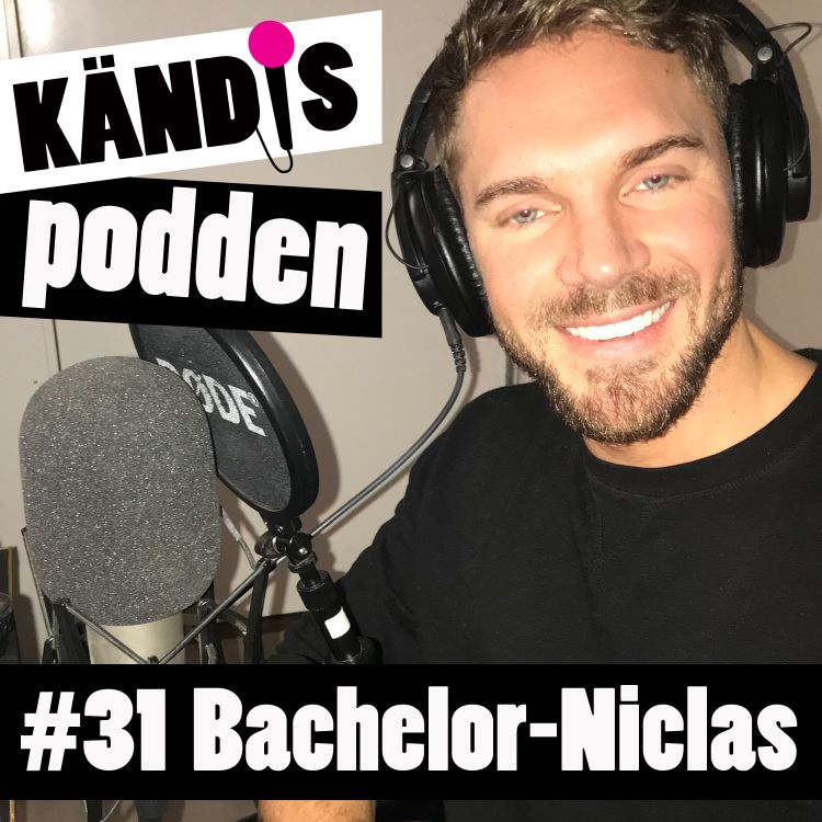 cover art for 31. Bachelor-Niclas