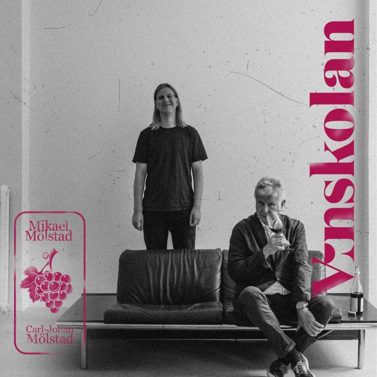 cover art for Vin, åsikter & statistik