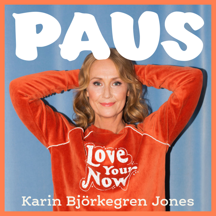 cover art for 49. Paus i rörelse