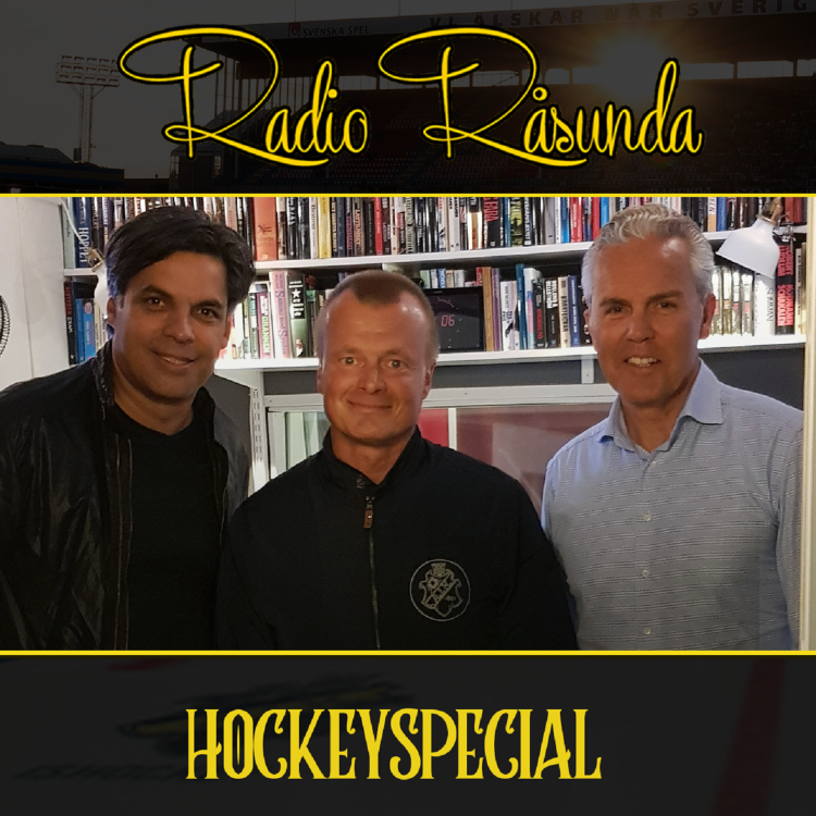 cover art for Hockeyspecial