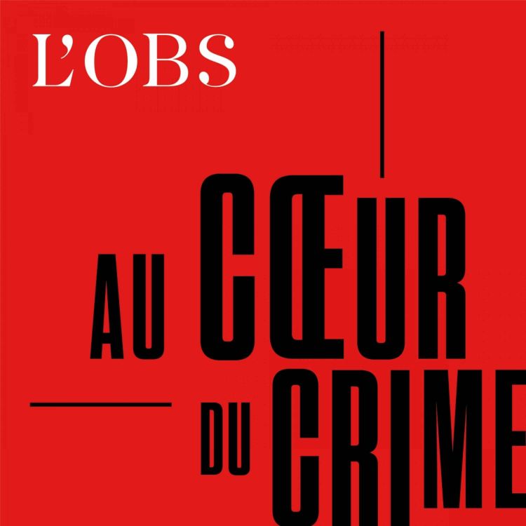 cover art for Les dossiers noirs de la juge