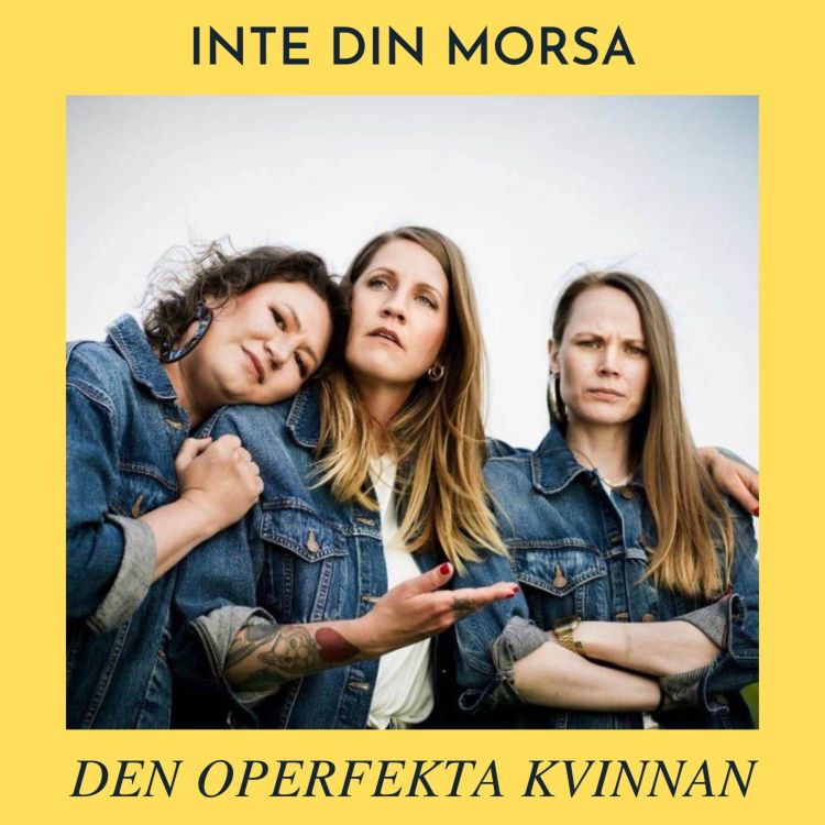 cover art for DEN OPERFEKTA KVINNAN