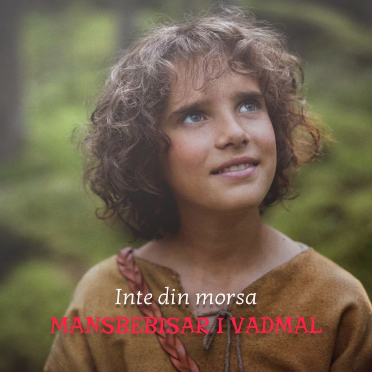 cover art for Mansbebisar i vadmal