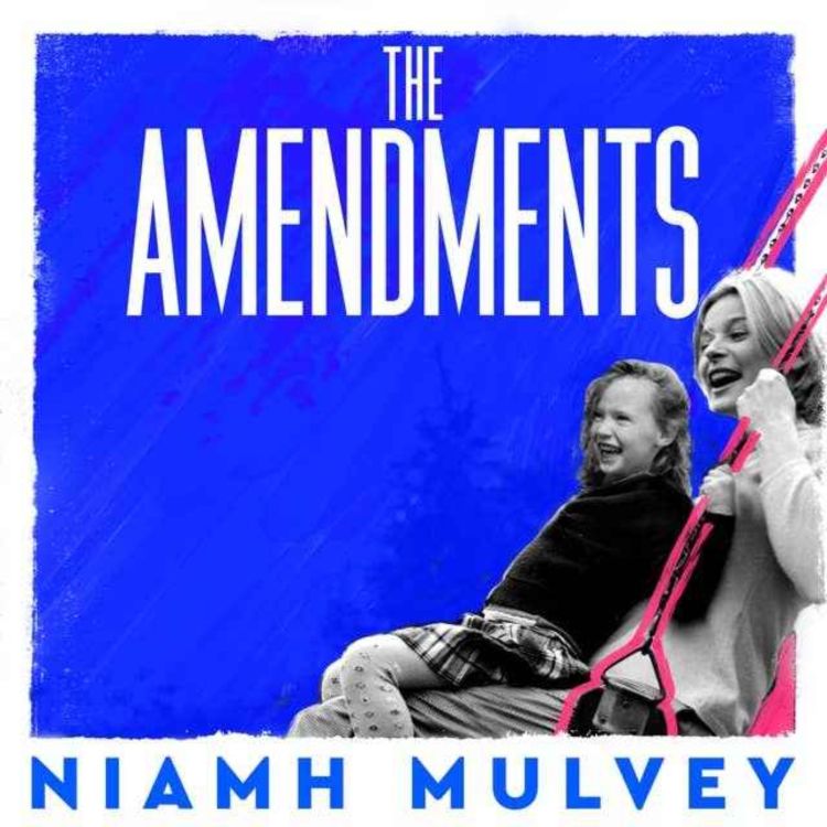 cover art for Little Atoms 893 - Niamh Mulvey's The Amendments