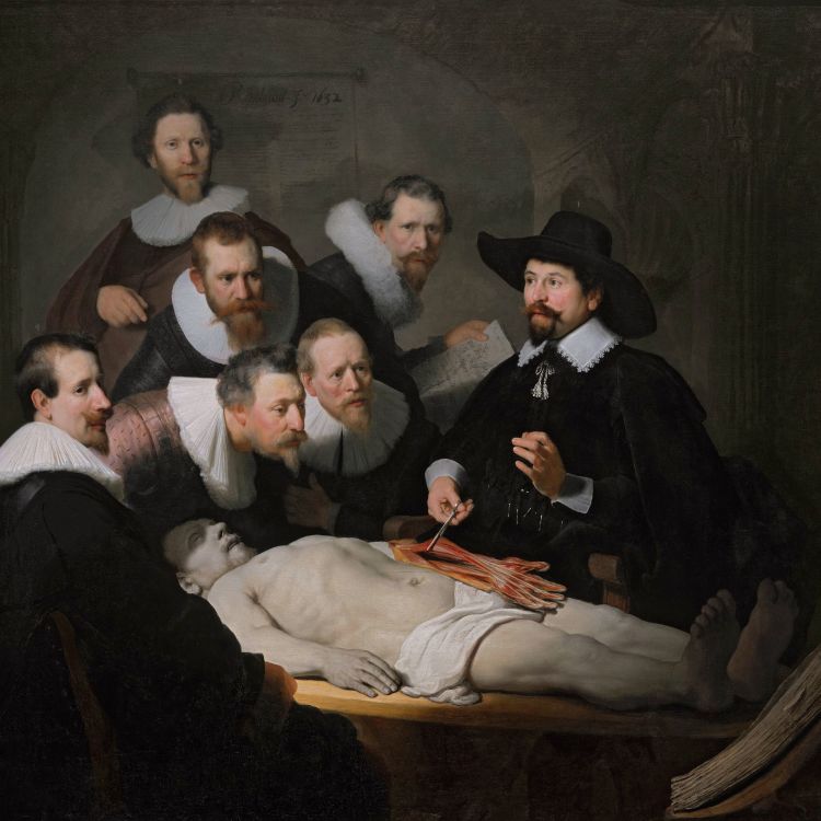 cover art for The Anatomy Lesson of Dr. Nicolaes Tulp - with Adam Rutherford