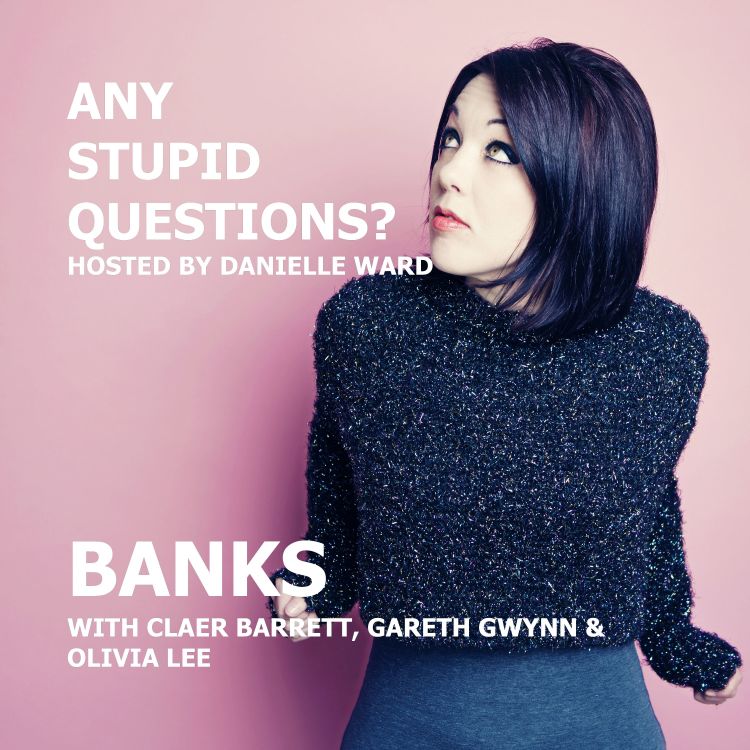 cover art for Any Stupid Questions about... Banks?