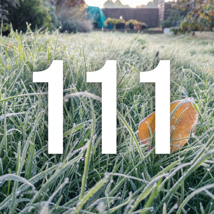 cover art for 111 - Jobs for December