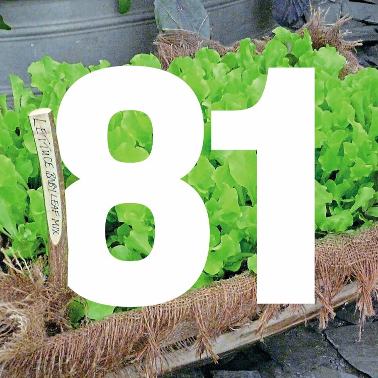 cover art for 81 Grow a salad bar