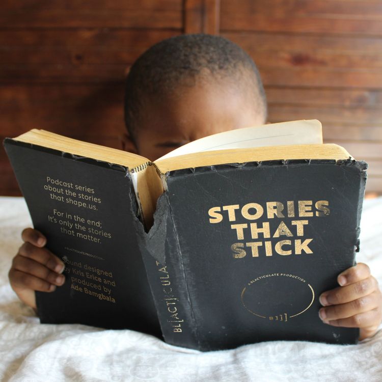 cover art for Introducing Stories that Stick