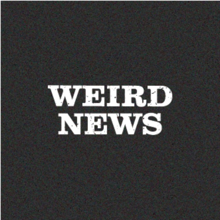 cover art for #23 - Weird News: Bob Marley, Gravitational Waves & Others