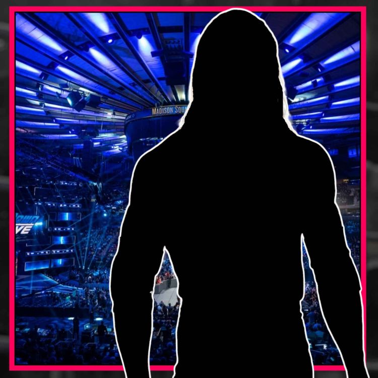 cover art for MAJOR WWE Return Planned For SummerSlam Go-Home Raw | Ric Flair’s Last Match Opponent Revealed | WRESTLING NEWS