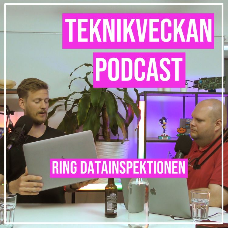 cover art for Ring Datainspektionen