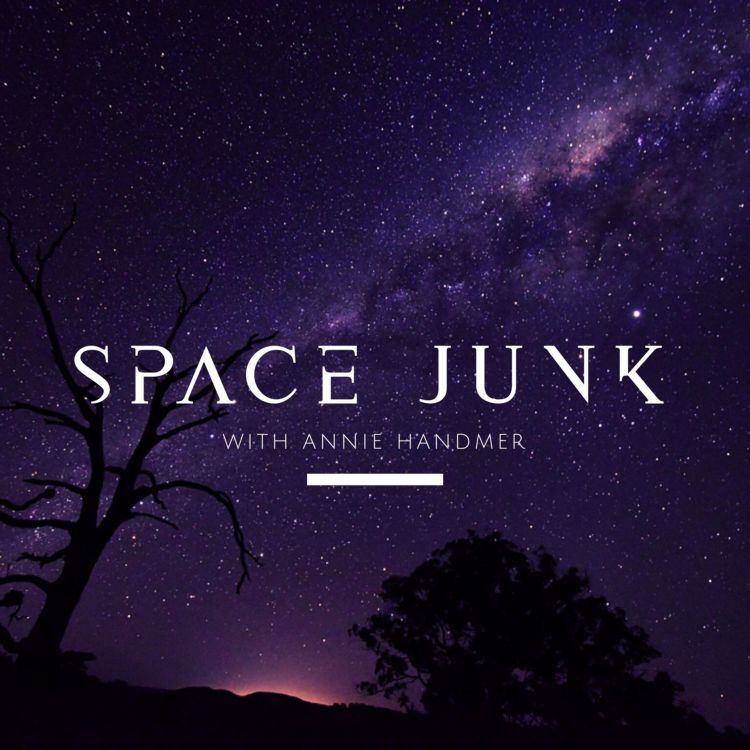 cover art for Space Junk - Space Mining Panel with Gabriel Swiney, Chris Johnson, Dr Malcolm Davis, A/Prof Alice Gorman, and Prof Steven Freeland