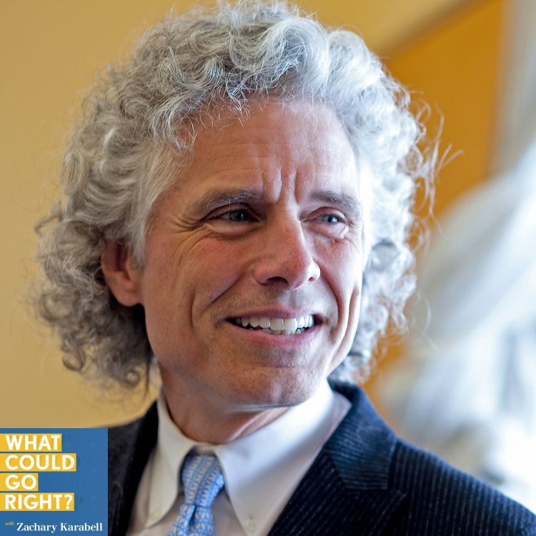 cover art for Interview with Steven Pinker