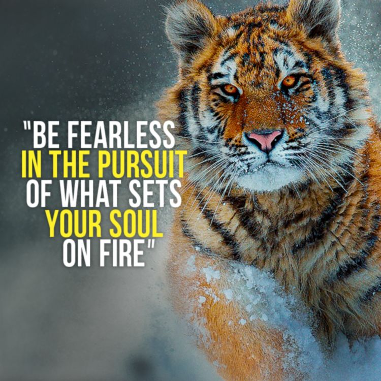 be fearless in the pursuit inspirational quotes, motivational