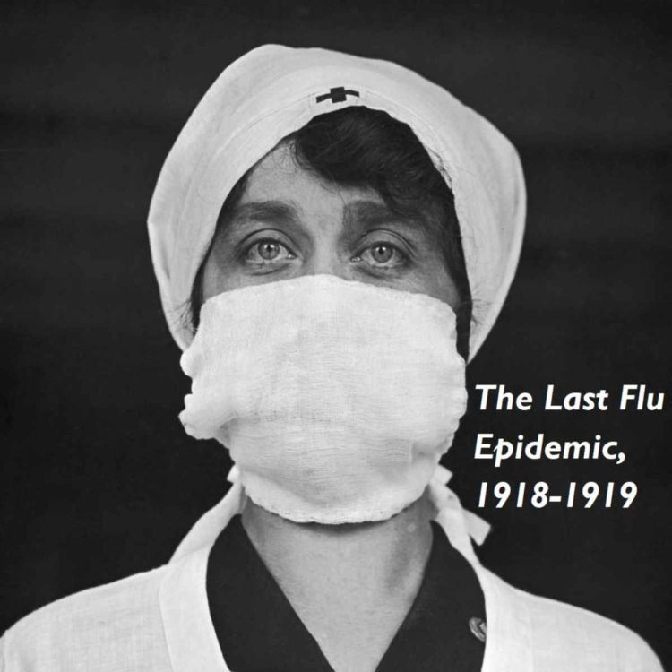 cover art for The Last Flu Epidemic, 1918-1919