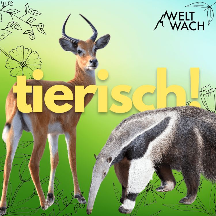 cover art for Teaser: Tierisch! – Die neue Show von Weltwach – mit Lydia Möcklinghoff & Dr. Frauke Fischer