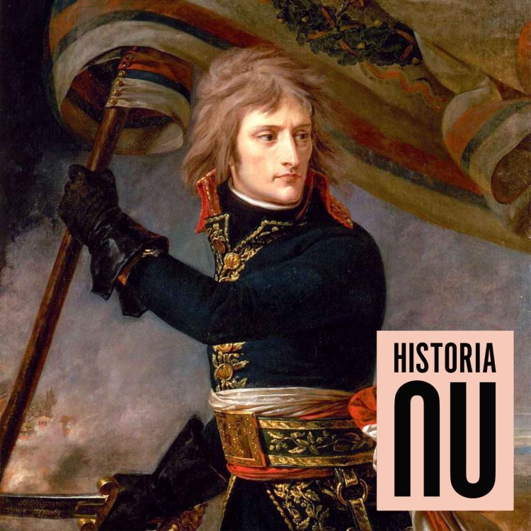 cover art for Napoleons uppgång och fall i det revolutionära Frankrike (nymixad repris)