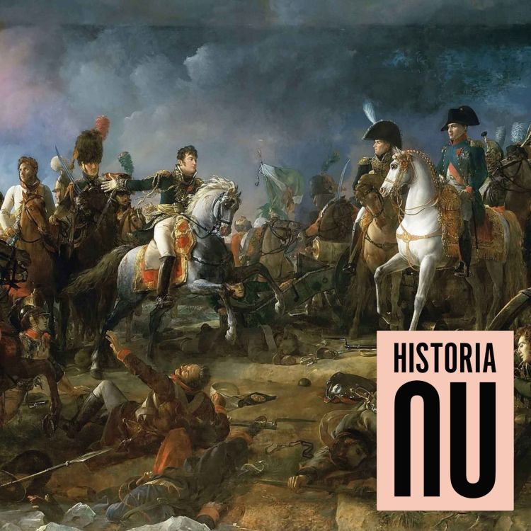 cover art for Napoleonkrigen I 1803-1809: Imperiebygget