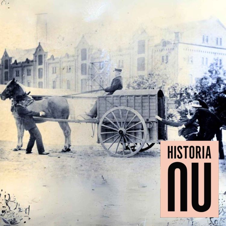 cover art for Polisens historia - från lokalt till statligt våldskapital