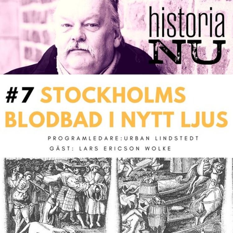 cover art for Stockholms blodbad i nytt ljus