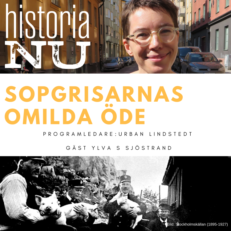 cover art for Sopgrisarnas omilda öde i stadens tjänst