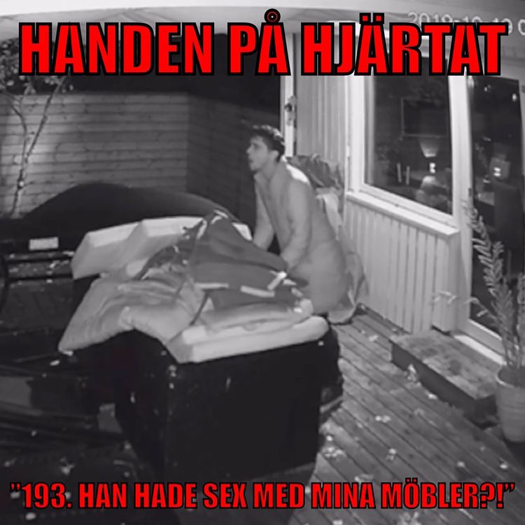 cover art for ”193. HAN HADE SEX MINA MÖBLER”