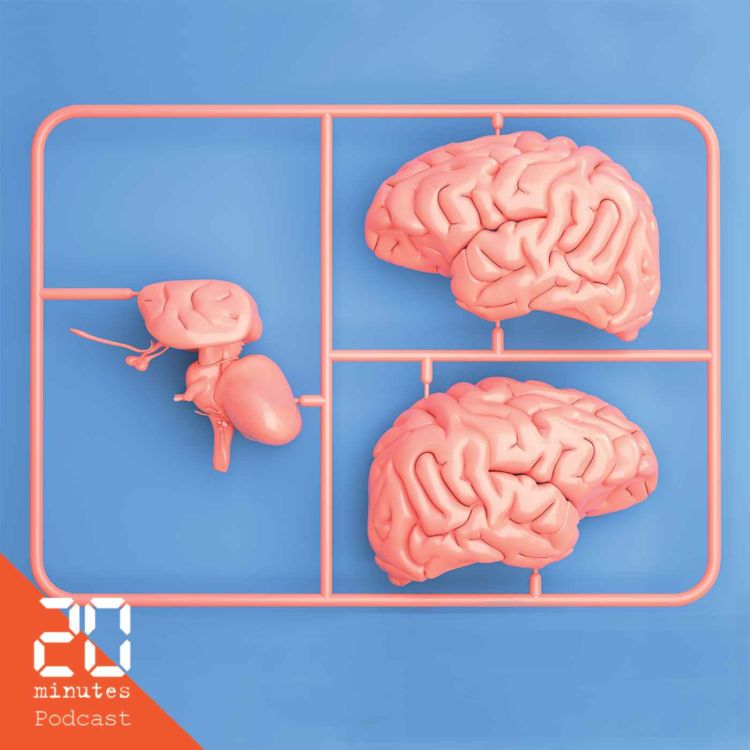cover art for Des scientifiques créent des mini-cerveaux