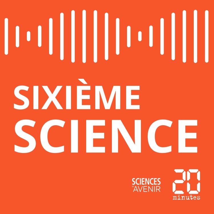 cover art for Sixième Science #02 / Les écocides, les crimes contre la planète enfin reconnus?