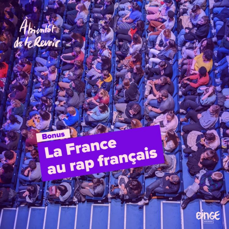 cover art for #133 - La France au rap français