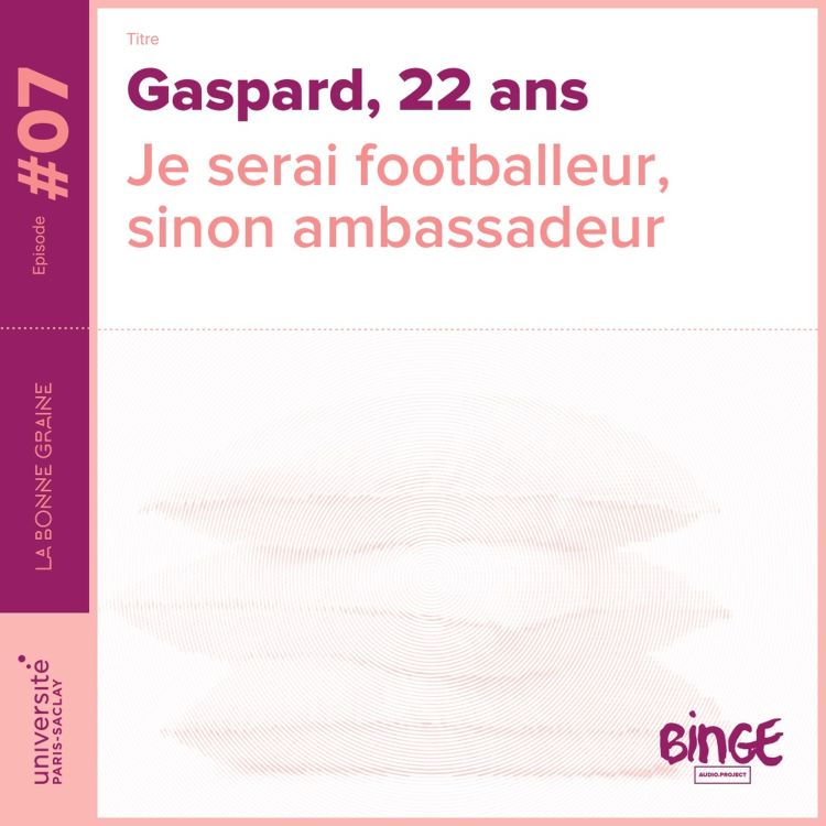 cover art for 07 - Gaspard, 22 ans