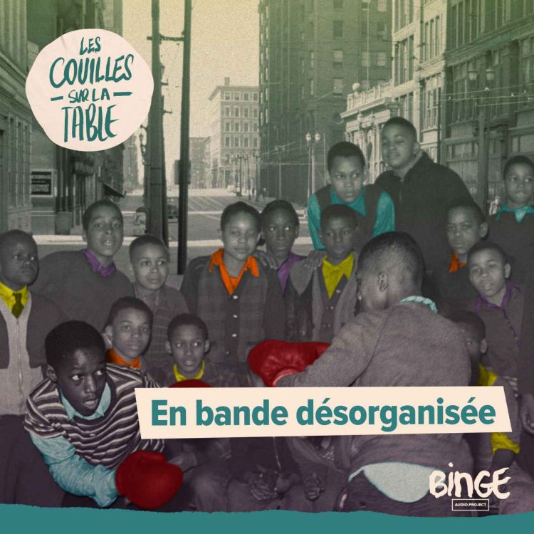 cover art for En bande désorganisée