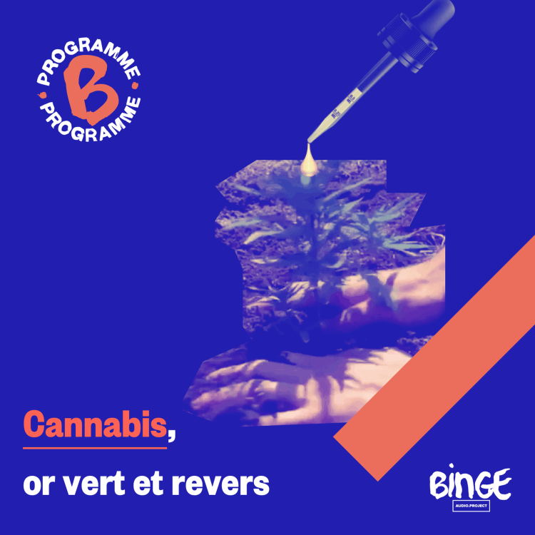 cover art for Cannabis, or vert et revers