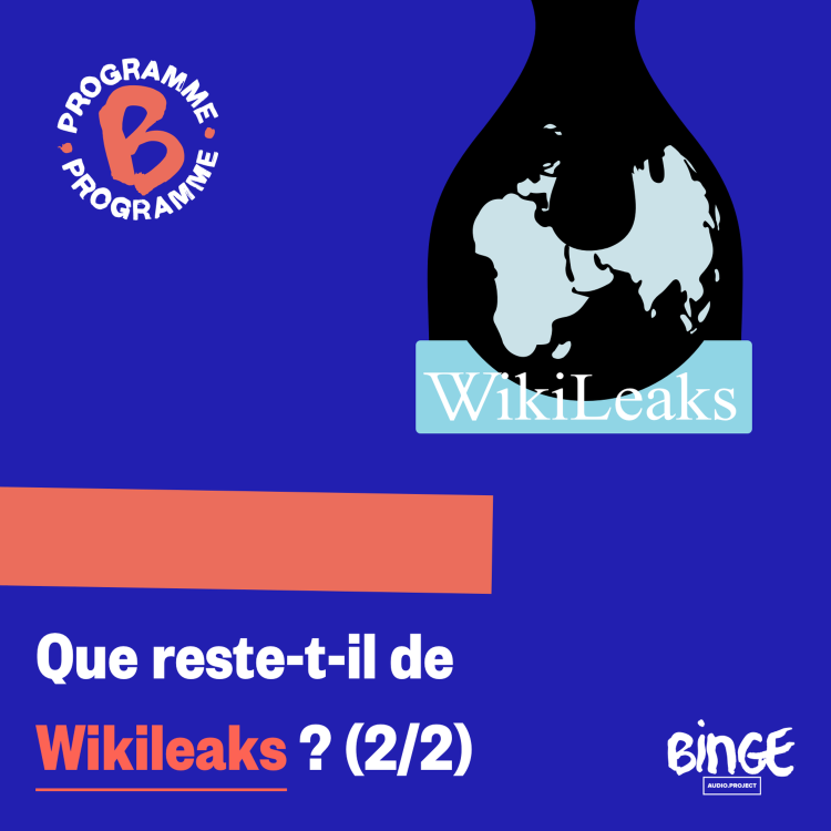 cover art for Que reste-t-il de Wikileaks ? (2/2)