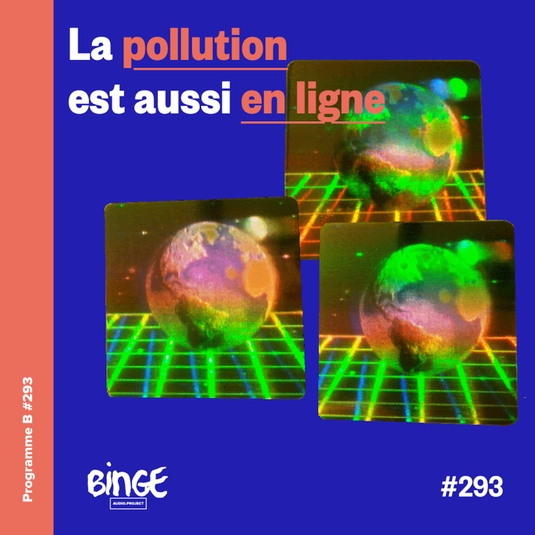 cover art for La pollution est aussi en ligne