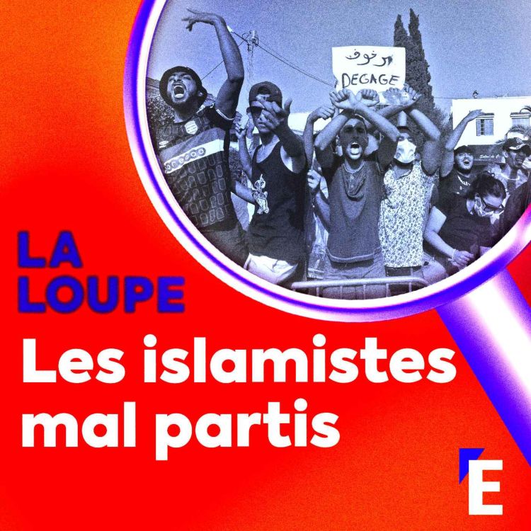 cover art for Les islamistes mal partis