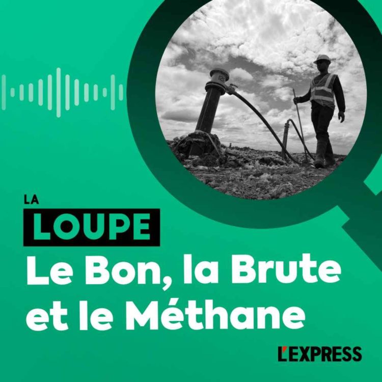 cover art for Le Bon, la Brute et le Méthane
