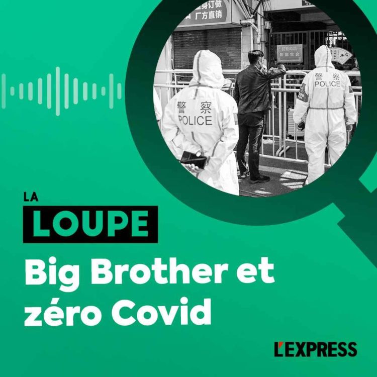 cover art for Big Brother et zéro Covid