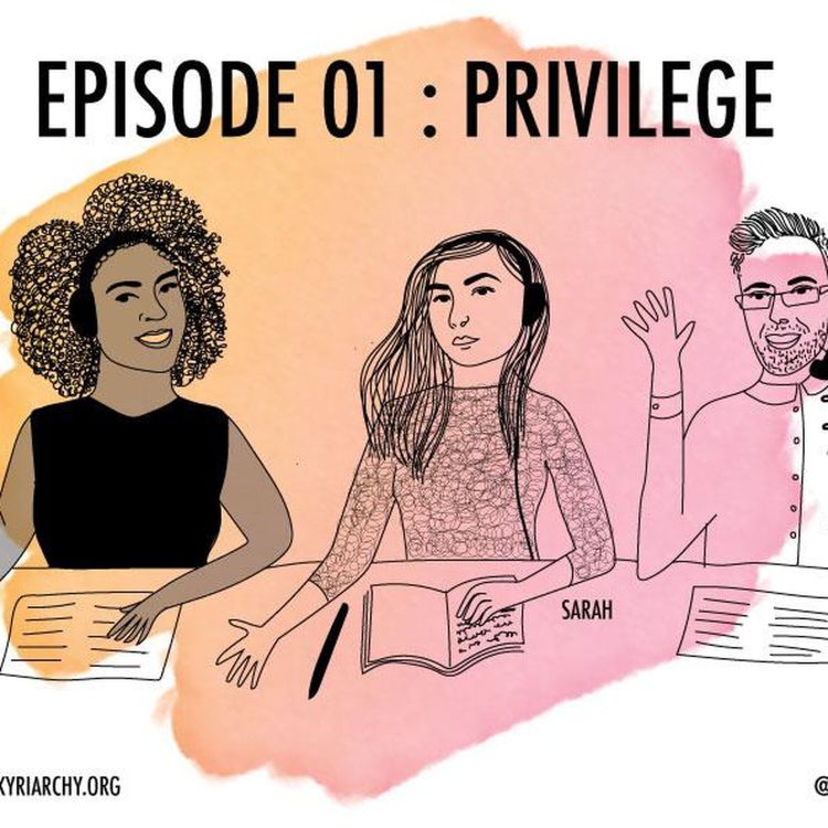 cover art for 1: Privilege