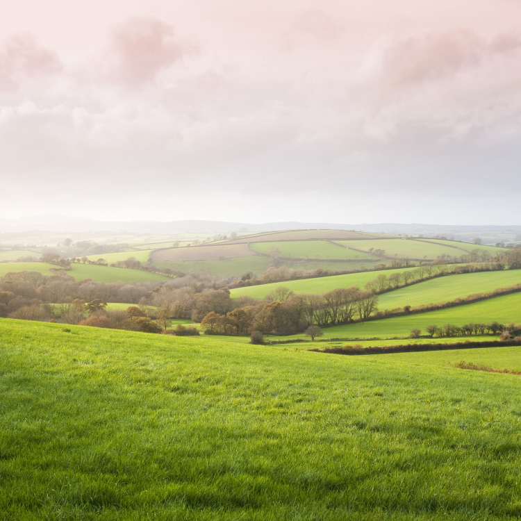 cover art for The English Countryside